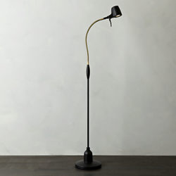 Serious Readers High Definition Floor Lamp